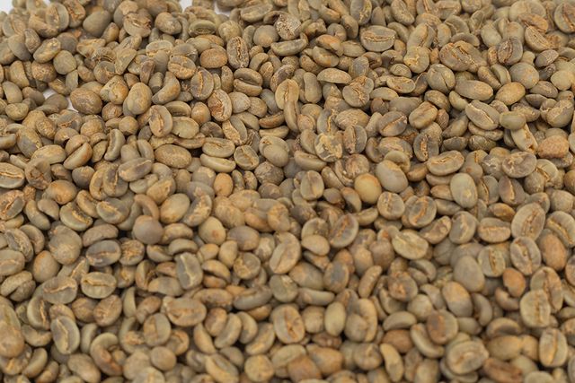 Coffee Beans S18 Wholesale Premium Quality Organic Arabica Green Premium Grade 60 Kg Honey 18 COMMON Cultivation - Image 3