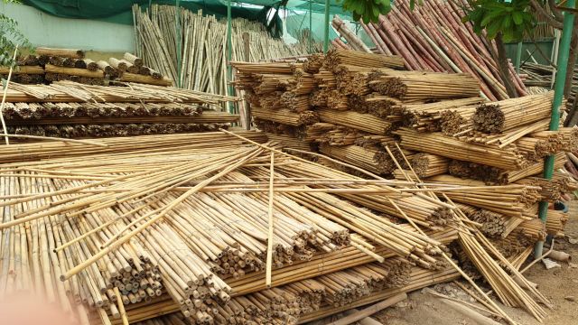 100% Natural bamboo Pole - Wholesale Bamboo pole Garden Support - Moso Bamboo Cane export worldwide - Image 3