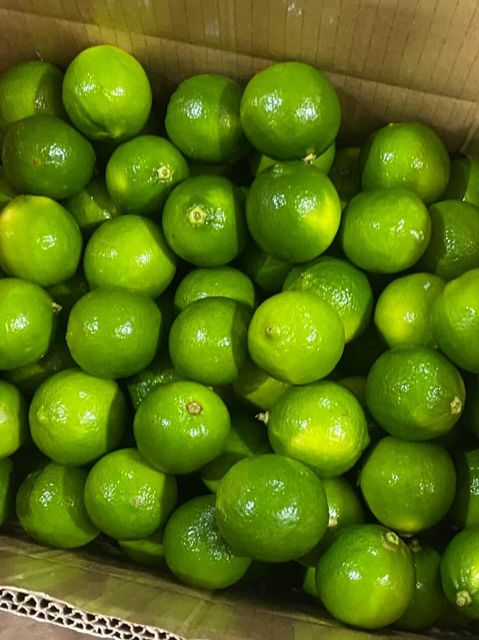 Fresh Seedless Lime High quality Green Seedless Lemon from Vietnam - Image 3