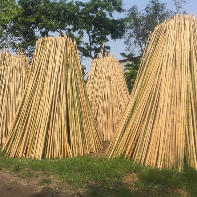 Construction Building Decoration Bamboo Canes Bamboo Poles For Garden/Roof/House - Image 4