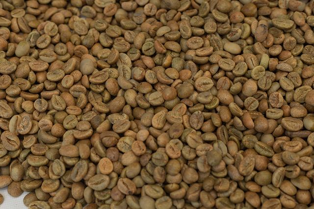 Coffee Bean Roasted Arabica Coffee Beans Premium Quality Green Super Quality for Sale Premium Grade 60 Kg 18 COMMON Cultivation - Image 3