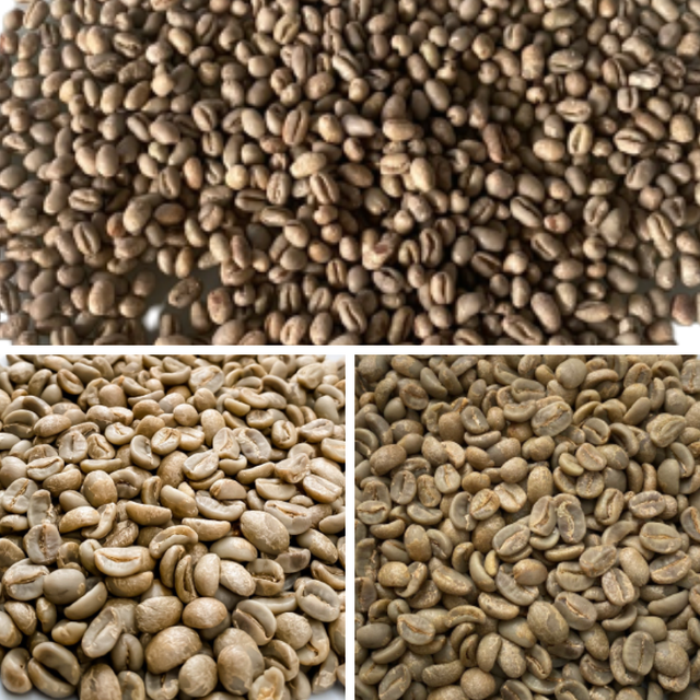 ARABICA CATIMOR GREEN BEANS FULLY-WASHED Premium Quality with Small MOQ from Highland Low Price Central of Vietnam – product photo 5, product detail gallery