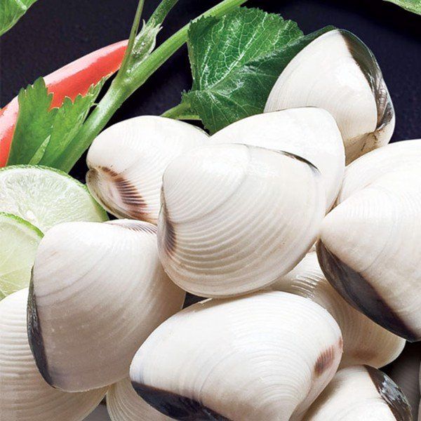Top sales frozen clam from Vietnam for wholesales Variety N/A Address N/A Content N/A Style FROZEN Color Natural Packaging - Image 2