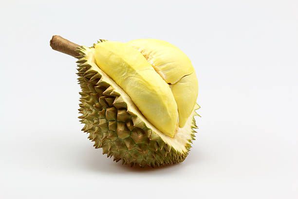 Wholesaler Fresh Durian Monthong Fresh Durians Organic King Durian Frozen Meat Durian Fruit King Of Fruit - Image 4