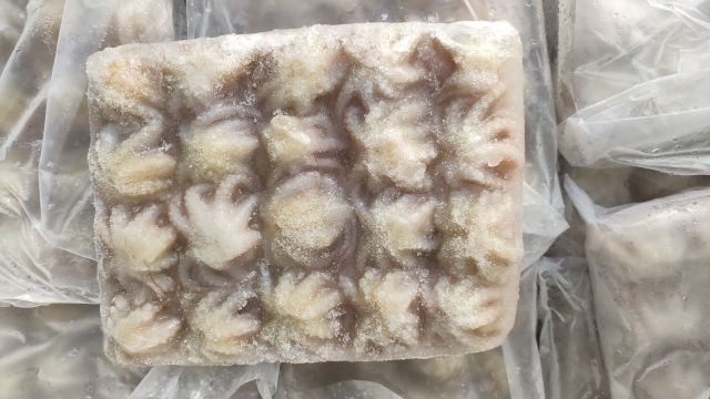 Premium Quality for Wholesale frozen whole octopus cleaned from Vietnam - Image 3