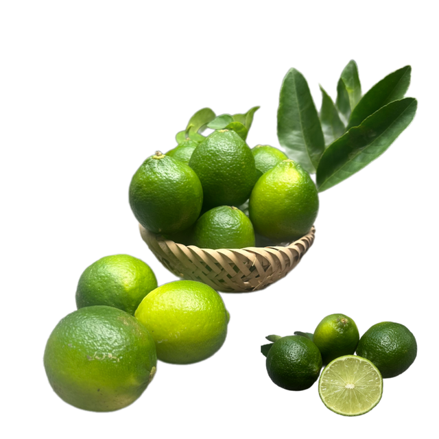 Special Item Lime Without Seed, Lime Organic, Lime Fruit, Limon ,Fresh fruit, Seedless Fruit - Image 1