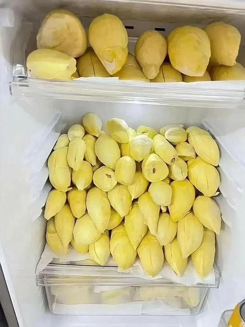 Wholesaler Fresh Durian Monthong Eat Directly Sweet ,Durians, Flesh Durian Organic Packed In Box Vietnam Manufacturer - Image 3