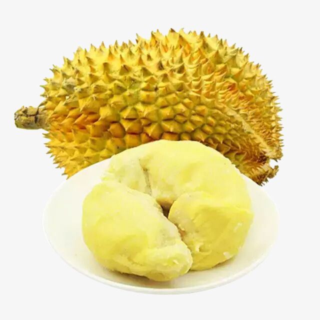 Frozen durian from Vietnam trays packaging frozen tropical durian and other tropical fruits high quality for exporting - Image 4