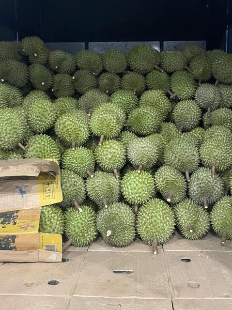 The Best Fresh Durian Ri6, Tropical Fruit, Organic fruits Organic Packed In Box Vietnam Manufacturer - Image 5