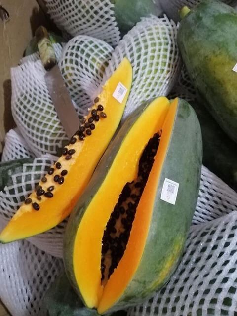 New arrival frozen papaya sweet taste red papaya from Vietnam OEM tropical fruit papaya for fruit or cooking origin Vietnam - Image 5