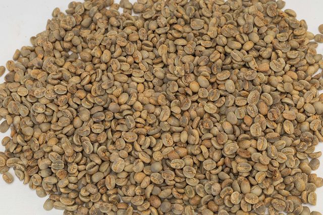 Coffee Beans S18 Wholesale Premium Quality Organic Arabica Green Premium Grade 60 Kg Honey 18 COMMON Cultivation - Image 5