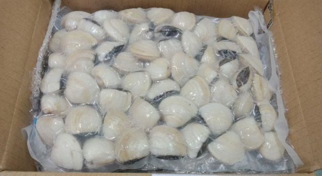 Top sales frozen clam from Vietnam for wholesales Variety N/A Address N/A Content N/A Style FROZEN Color Natural Packaging - Image 5