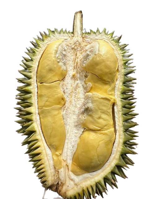 The Best Fresh Durian , Tropical Fruit, Vietnam Export products to China, Thailand, Malaysia, Turkey Organic Dry Fruits - Image 4