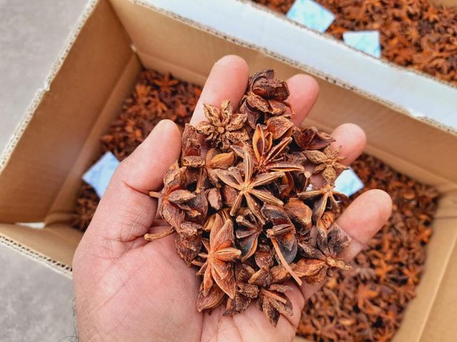 Star Anise Quality Spices Low Price Wholesale Spring Grade Broken Star Anise - Image 3