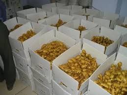 Good Quality Ginger Keep Dry Or Refrigerated Old Organic Packed In Box Fresh Vegetables, Hot Ginger - Image 3