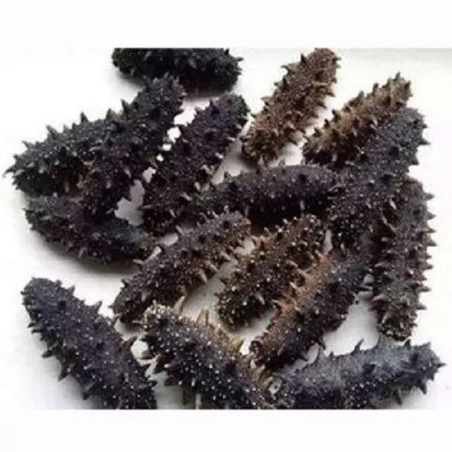 High quality sea cucumber price from manufacturer, dried sea cucumber rich nutrition wholesale - Image 2