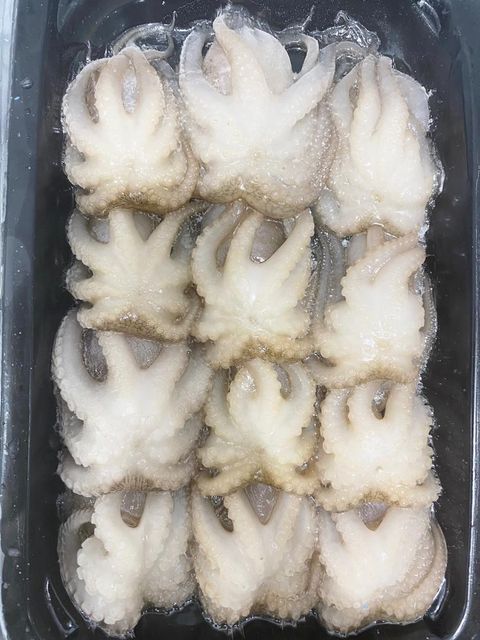 best price frozen whole octopus cleaned for wholesales from Vietnam - Image 3