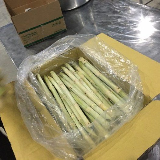 (HOT SALE 2023) Frozen IQF Sugar Cane Peeled Best Price From Vietnam - Image 3