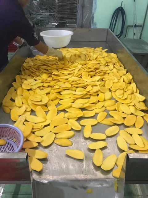 Premium Soft Dried Mango Slices From 100% Natural Fresh Mango With Sugar Free Non GMO - Image 3