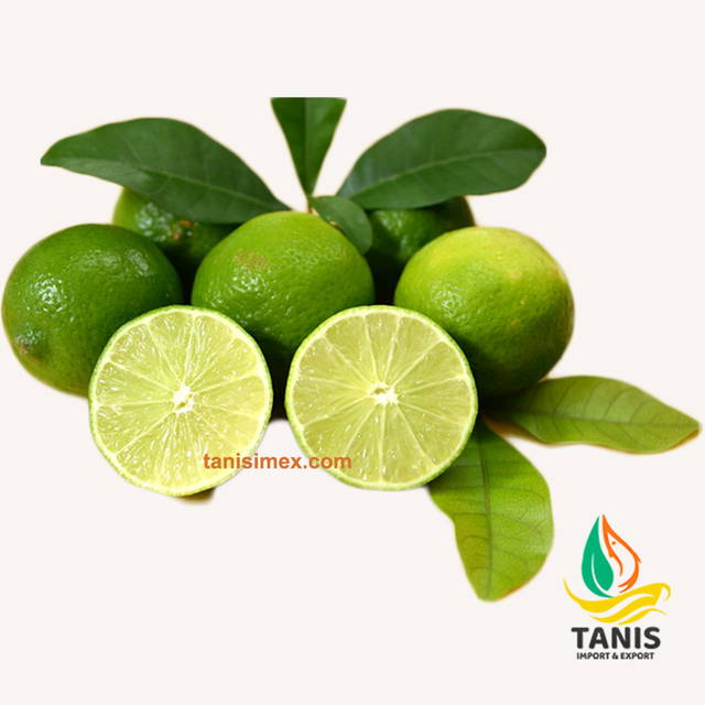 Fresh Persian Lime Premium quality Lemon packing in 6kg bag size 5-6 cm - Image 4