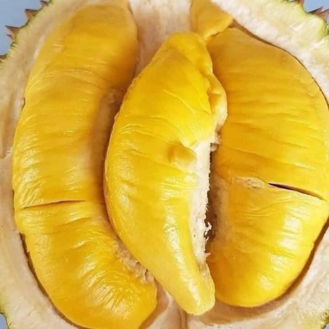 High Quality Fresh Durian Ri6 Eat Directly Sweet And Fatty Taste Organic Packed In Box Fresh Durians – product photo 5, product detail gallery