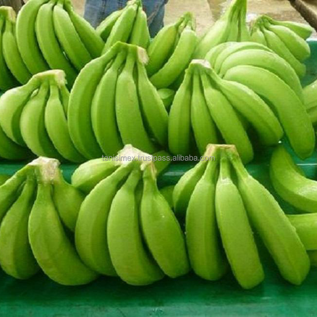 PREMIUM FRESH CAVENDISH BANANAS FOR BULK ORDERS - WHOLESALE PRICES - Image 3