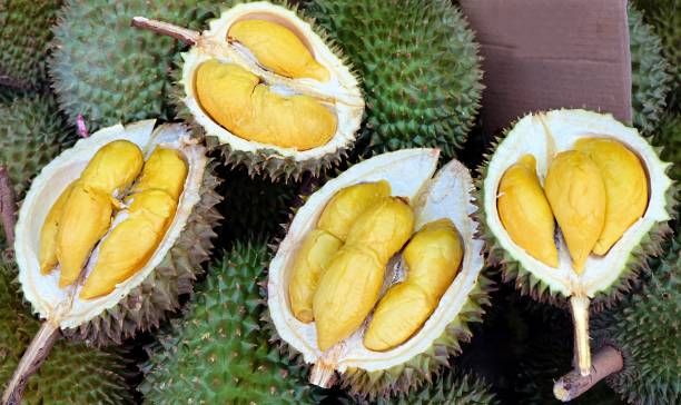 High Quality Fresh Durian Ri6 Eat Directly Sweet And Fatty Taste Organic Fruit Box Packaging Fresh Durians - Image 2
