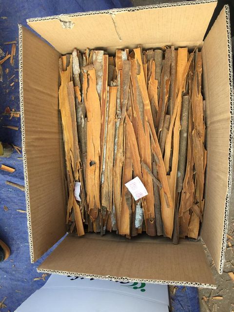 Best Quality Cassia Stick New Crops from Vietnam Cinnamon Spicy Single Herbs & Spices Dried Raw Natural Brown - Image 5