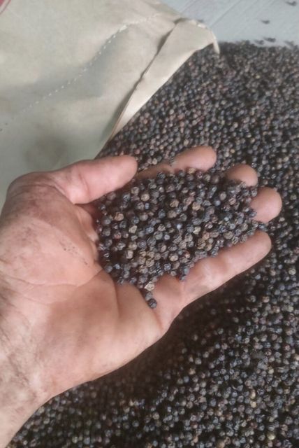 organic Vietnam black pepper super flavorful – product photo 2, product detail gallery