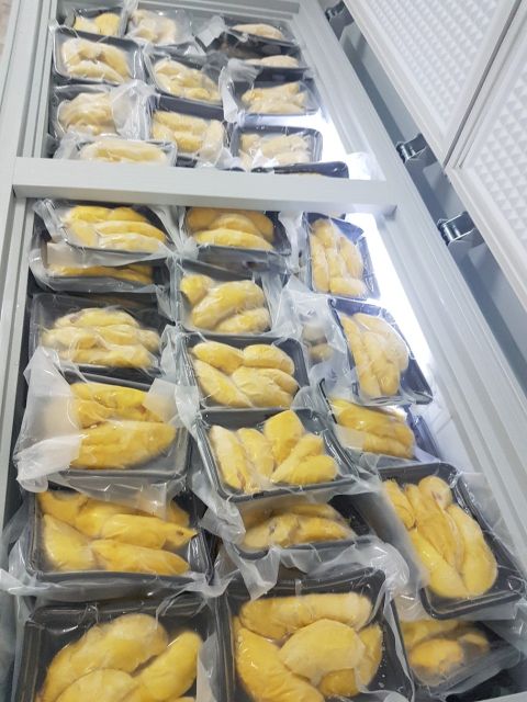 Frozen Durian High Quality Premium Frozen Durian VIETNAM WhatsApp +84 354987203 (Ms.Mie) - Image 6