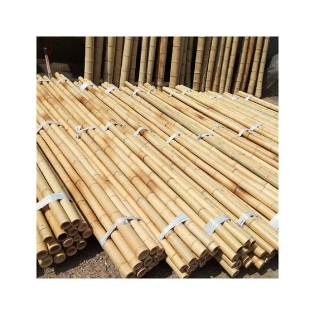 Wholesale Price Manufacturer Outdoor Decoration Big Natural Raw Bamboo Pole With High Quality - Image 4