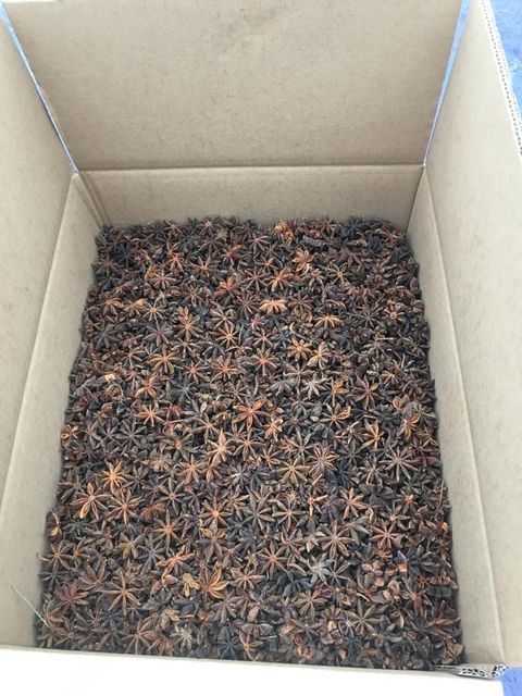 Factory Wholesale Low Price Star Anise Best Quality Canh Danh star anise Dried Star Anise Spices Decoration - Image 3