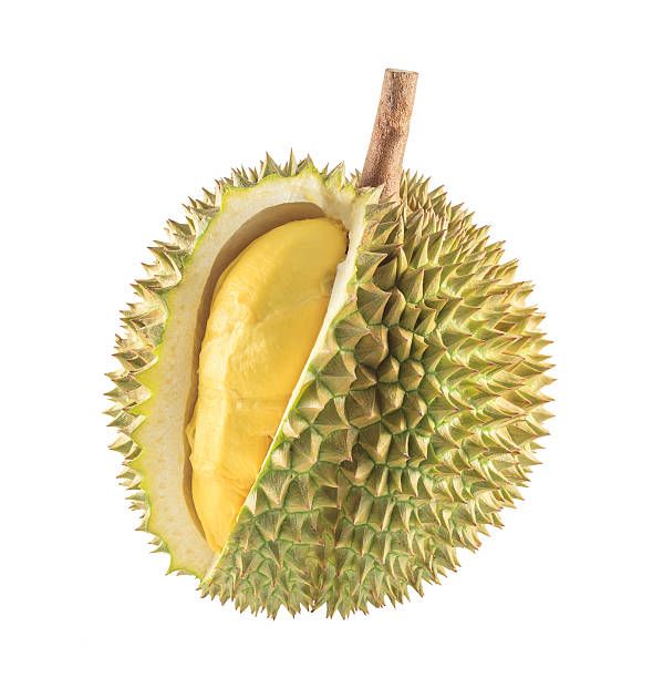 Wholesaler Fresh Durian Monthong Fresh Durians Organic King Durian Frozen Meat Durian Fruit King Of Fruit - Image 3