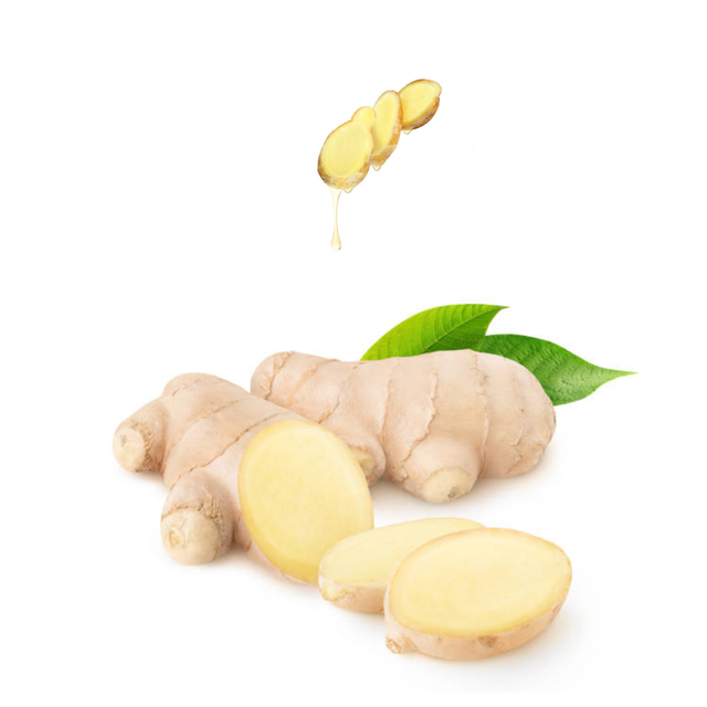 Hot Item Ginger Fresh Ginger For Sale Old Organic Ginger Jar , Ginger For Sale Vietnamese Fresh Vegetables - Image 5