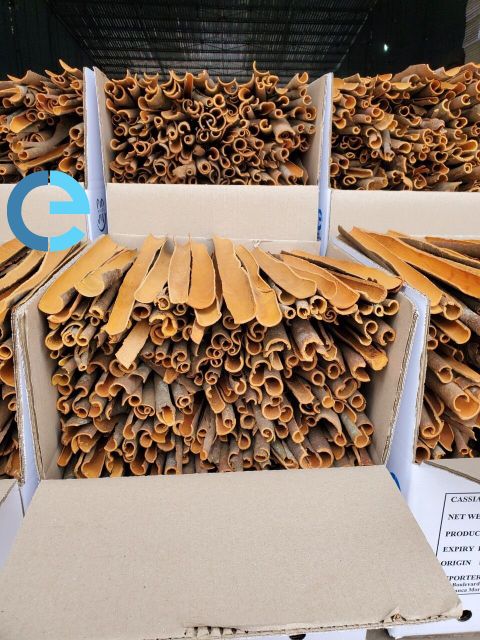 SPLIT CASSIA YEN BAI PREMIUM HOT PRODUCT NEW SEASON 2023 BEST BUY VIETNAM SINGLE SPICES FOR FOOD - Image 5