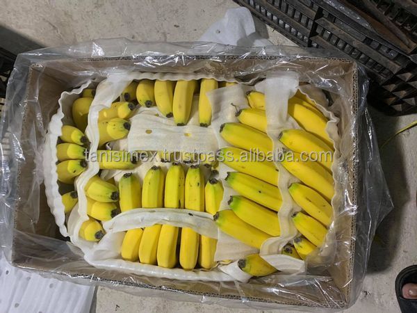 CERTIFIED ORGANIC BANANAS: UNBEATABLE WHOLESALE PRICES - ORDER NOW - Image 4