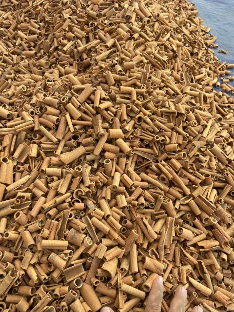 High Quality Single Spices Dried Premium Stick broken cassia sale Vietnam Cinnamon From Yen Bai Province - Image 4