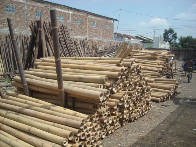 Wholesale bamboo Pole - Raw Bamboo pole outdoor Garden Support - Bamboo stake/pole/branch for sale - Image 4