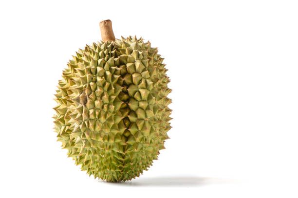 High Quality Fresh Durian Ri6 Eat Directly Sweet And Fatty Taste Organic Fruit Box Packaging Fresh Durians - Image 6