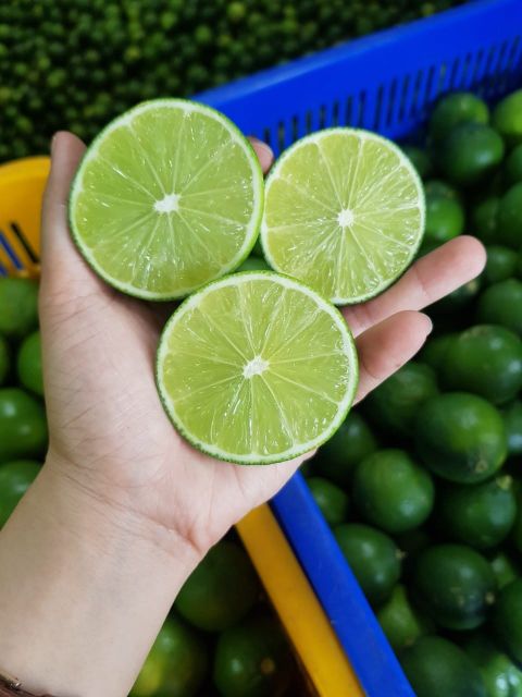 Seedless Lime Sour Taste Natural Seasoning Size S M L For Cooking From Vietnam - Image 3