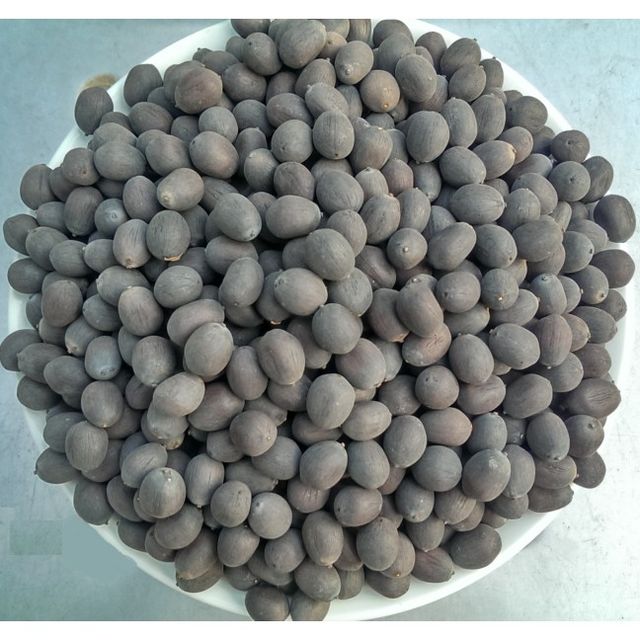 Vietnam lotus flower seeds sorted cleaned Shelf Life 2 Address Vietnam Model Number 01 Content lotus seed Ingredients lotus - Image 3