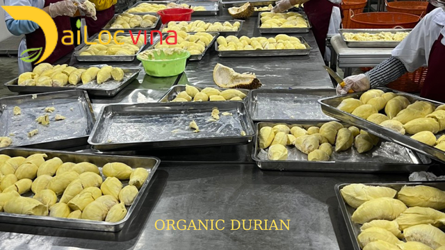 Fresh durian fruit - Monthong durian for export - Image 3