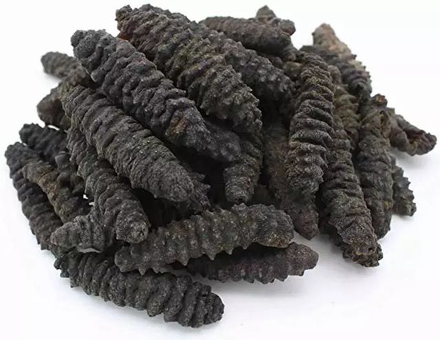 DRIED SEA CUCUMBER IS SELLING WHOLESALES PRICE WITH GOOD QUALITY - Image 1