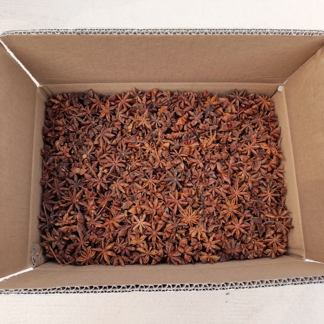 NEW CROP VIETNAM WHOLE SPRING STAR ANISE BEST QUALITY WHOLESALE FACTORY PRICE FOOD SPICES - Image 4