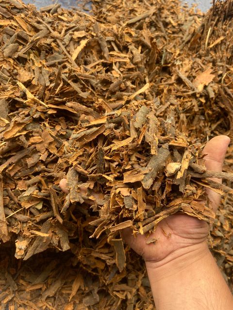 Vietnam Stick Cinnamon From Yen Bai Province High Quality Single Spices Pressed Whole Cassia Wholesale - Image 3