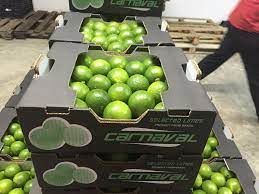 Special Item Lime Without Seed, Lime Organic, Lime Fruit, Limon ,Fresh fruit, Seedless Fruit - Image 4