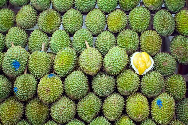 Wholesaler Fresh Durian Monthong Fresh Durians Organic Packed In Box Vietnam Manufacturer, King Durian Frozen Meat Durian - Image 3