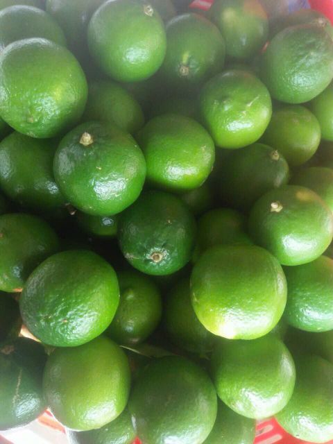 Fresh Lemon, Lime Organic, Lime Fruit, Limon Packed In Box Made In Vietnam, Seedless Fruit To Dubai Bangladesh UAE - Image 5