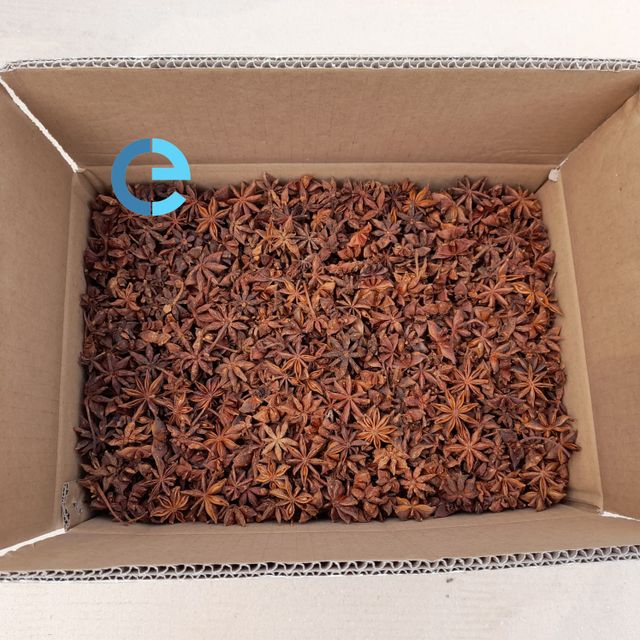 STAR ANISE SPRING VIETNAM ANISEED FACTORY PRICE HIGHLY RECOMMEND FOOD SEASONINGS PEPPER DESICCATED COCONUT - Image 1
