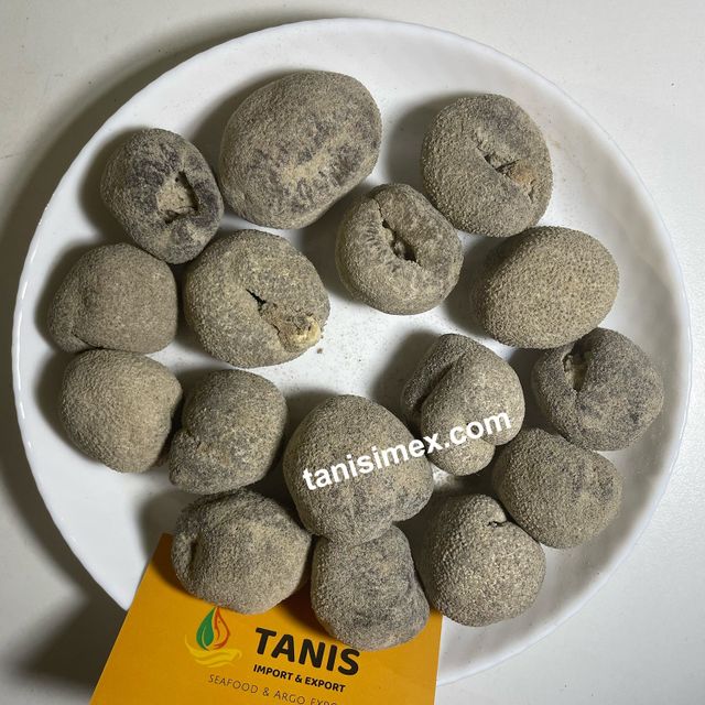 Wholesaler dry pearl sea cucumber high quality can be exported as border trade, Dried Pearl Sea Cucumber - Image 4